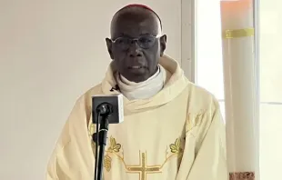 Cardinal Robert Sarah addresses members of the National Episcopal Conference of Cameroon (NECC) on April 9, 2024. Credit: NECC