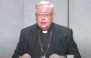 Cardinal Jean-Claude Hollerich, S.J., speaking at the press conference in the Vatican on Aug. 26, 2022. Vatican News YouTube Channel