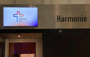 The ‘Synodal Way’ began Dec. 1, 2019. Rudolf Gehrig/CNA Deutsch.