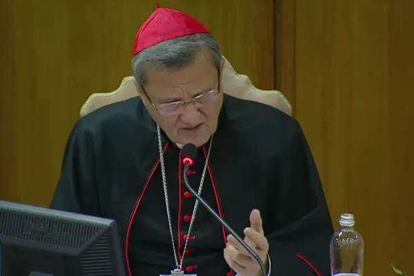 Cardinal Mario Grech, the secretary general of the Synod of Bishops. Screenshot from Vatican News YouTube channel.