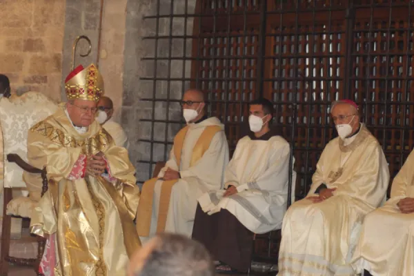 Archbishop Domenico Sorrentino. Diocese of Assisi-Nocera Umbra-Gualdo Tadino.
