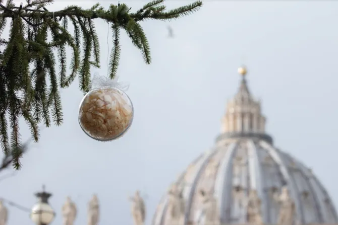 The dome of St. Peter’s Basilica and the Vatican Christmas tree, Dec. 9, 2021