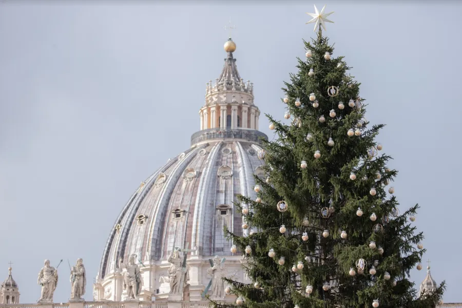 The dome of St. Peter’s Basilica and the Vatican Christmas tree, Dec. 9, 2021.?w=200&h=150
