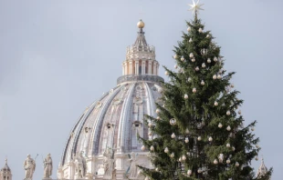 A Christmas tree in St. Peter's Square. Daniel Ibáñez/CNA.