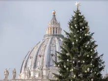 A Christmas tree in St. Peter's Square.
