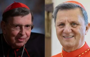 Cardinal Kurt Koch and Cardinal Mario Grech. Daniel Ibáñez/CNA and Diocese of Gozo via Wikimedia (CC BY-SA 4.0).