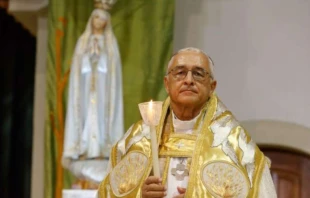 On April 11, 2024, Bishop José Ornelas Carvalho Leiria-Fátima, Portugal, said that a “fundamental team” would be convened in order to determine the total amounts of compensation awarded to abuse victims.  Credit: Santuário de Fátima