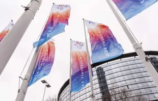 ‘Synodal Way’ flags fly in front of the Congress Center Messe Frankfurt in Germany. Max von Lachner/Synodal Way.