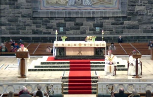 Bishop Brendan Kelly (speaking) and Bishop Michael Duignan (seated) concelebrate Mass at Galway Cathedral, Ireland, on Feb. 11, 2022. Screenshot from galwaycathedral.ie