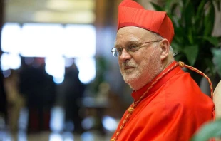 Cardinal Anders Arborelius of Stockholm at a consistory in St. Peter’s Basilica on June 28, 2017. Credit: Daniel Ibáñez/CNA