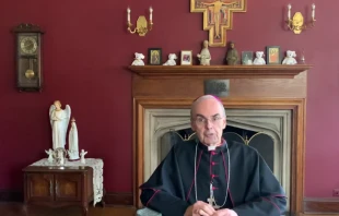 Bishop Paul Sanchez. Screenshot from OLQMStewardship YouTube channel.