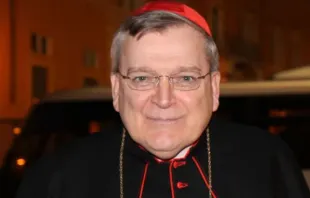 Cardinal Raymond Burke Credit: ACI Prensa