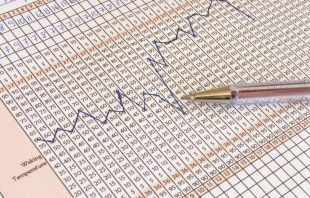 null Credit: ever/Shutterstock