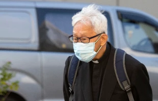 Cardinal Joseph Zen. Yung Chi Wai Derek/Shutterstock.