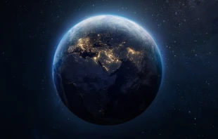 null Dima Zel / Shutterstock