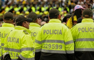 Police in Bogotá, Colombia, in 2017 Nelson Hache / Shutterstock