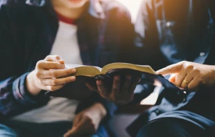 null Credit: Deemerwha studio/Shutterstock