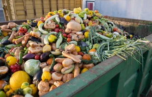 Credit: Shutterstock