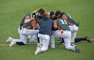 Credit: Shutterstock