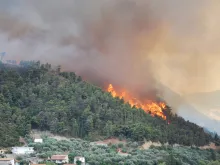 A forest fire rages on the Greek island of Corfu on July 24, 2023.