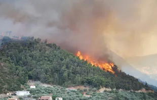 A forest fire rages on the Greek island of Corfu on July 24, 2023. Shutterstock