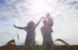 null Credit: anastasiya parfenyuk/Shutterstock