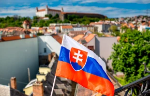 The flag of Slovakia, pictured in the country’s capital, Bratislava. Credit: RossHelen/Shutterstock