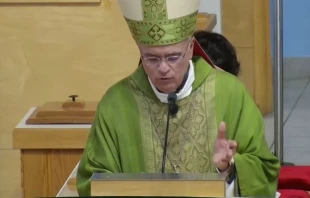 Auxiliary Bishop Silvio Báez of Managua, Nicaragua. Credit: Video capture St. Agatha Catholic Church