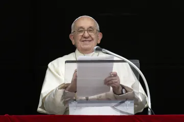 Pope Francis Angelus 110123 a