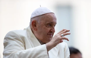 Pope Francis at his general audience on Nov. 22, 2023. Credit: Daniel Ibanez/CNA
