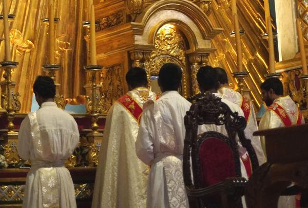 Priests celebrating the synodal Mass facing the altar. Credit: Anto Akkara