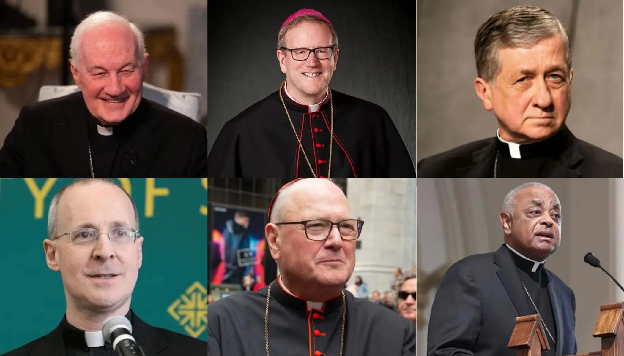 Top From Left to Right - Cardinal Marc Ouellet, Bishop Robert Barron, Cardinal Blase Cupich
Bottom From Left to Right - Father James Martin, Cardinal Timothy Dolan, Cardinal Wilton Gregory?w=200&h=150
