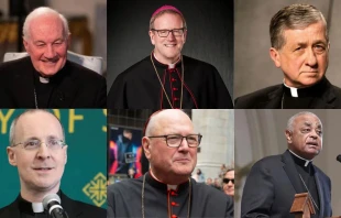 Top From Left to Right - Cardinal Marc Ouellet, Bishop Robert Barron, Cardinal Blase Cupich
Bottom From Left to Right - Father James Martin, Cardinal Timothy Dolan, Cardinal Wilton Gregory Top From Left to Right - Alan Koppschall/EWTN, Courtesy of DeChant-Hughes Public Relations, Daniel Ibáñez/CNA
Bottom From Left to Right - Flickr by Shawn (CC BY-NC 2.0), lev radin / Shutterstock, Georgia Bulletin/Michael Alexander