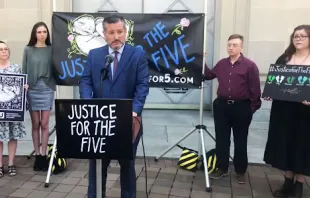 Sen. Ted Cruz (R-Texas) speaks in front of the Department of Justice in Washington, D.C., on June 9, 2022. Screenshot taken from Twitter video by Ford Fischer
