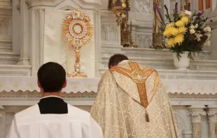 A priest bows before the Eucharist. Paul Sri/CNA