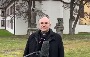 Bishop Helmut Dieser, chairman of the Synodal Way forum on ‘Living in Successful Relationships,’ welcomes the #OutInChurch campaign, Jan. 24, 2022. Screenshot from Deutsche Bischofskonferenz YouTube channel.