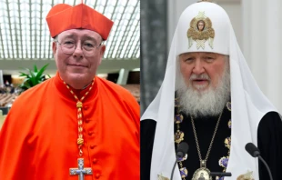 Cardinal Jean-Claude Hollerich and Patriarch Kirill of Moscow. Daniel Ibáñez/CNA/Kremlin.ru via Wikimedia (CC BY 4.0).