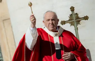 Pope Francis on Palm Sunday 2022 Daniel Ibanez/CNA