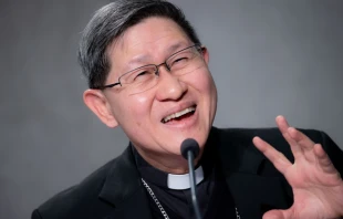 Cardinal Luis Antonio Tagle speaks at a Vatican press conference presenting the 2021 World Mission Day, Oct. 21, 2021. Daniel Ibáñez/CNA.