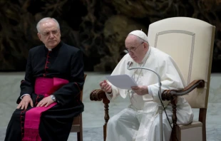 Pope Francis’ general audience in the Paul VI Hall at the Vatican, Jan. 19, 2021. Daniel Ibáñez/CNA.