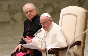 Pope Francis’ general audience in the Paul VI Hall at the Vatican, Jan. 26, 2022. Vatican Media.