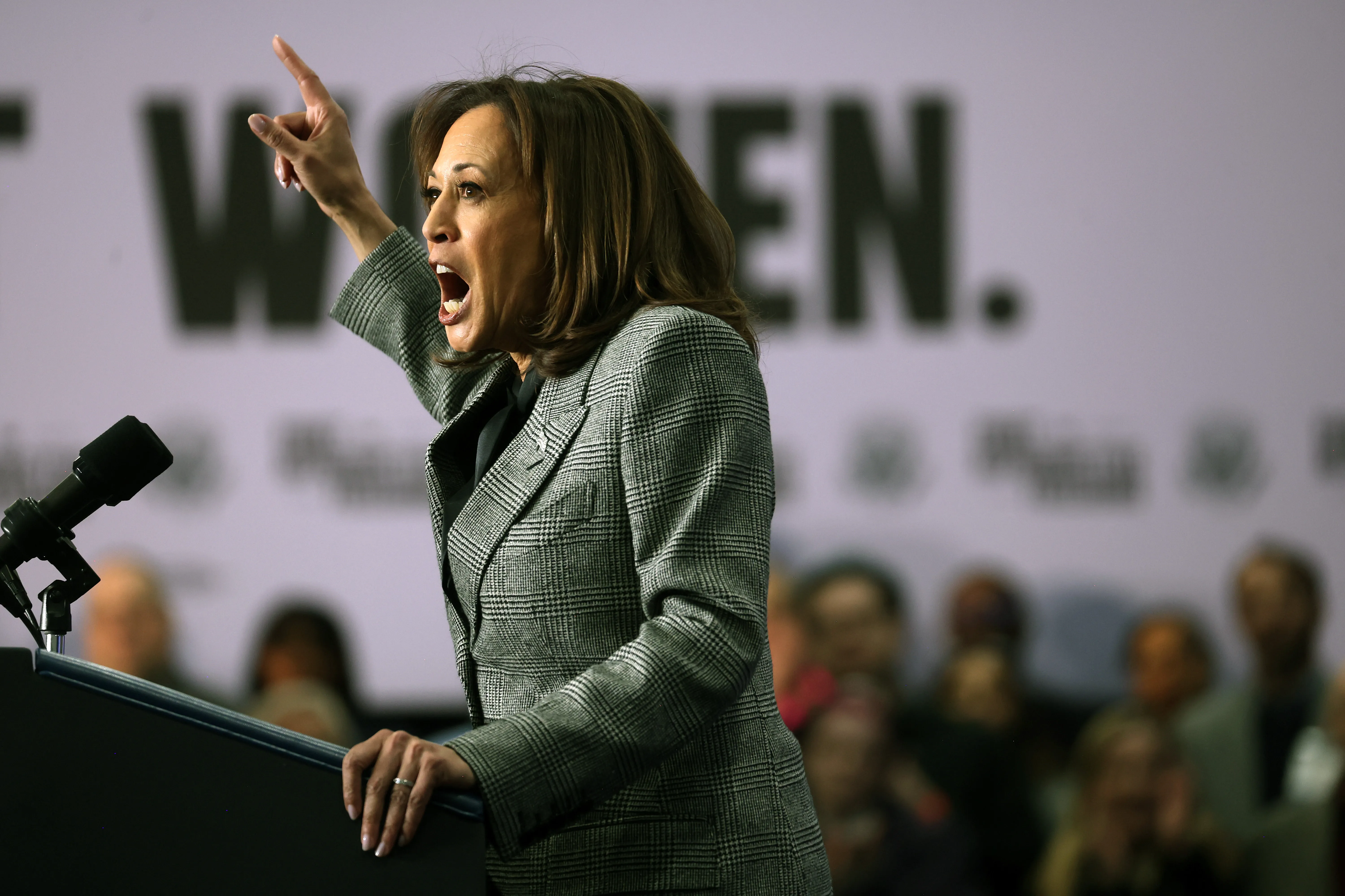 Vice President Kamala Harris speaks during a rally at the International Union of Painters and Allied Trades District Council 7 facility on Jan. 22, 2024, in Big Bend, Wisconsin. The rally was the first of the nationwide Fight for Reproductive Freedoms tour.?w=200&h=150
