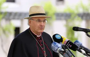 Bishop Rudolf Voderholzer speaks at a press conference on June 22, 2020. Diocese of Regensburg.