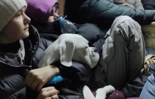 Volunteer drivers in Ukraine, working with the Vulnerable People Project evacuate vulnerable populations from war-torn areas of Ukraine. Courtesy of Vulnerable People's Project