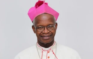 Cardinal Richard Baawobr of Wa (Ghana) SECAM