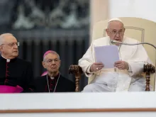 Pope Francis at the general audience, Nov. 16, 2022