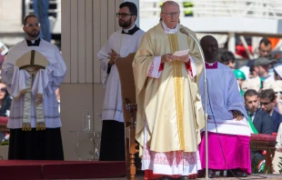 Cardinal Pietro Parolin celebrates the Mass on Divine Mercy Sunday, April 27, 2025 — the second day of mourning for the late Pope Francis. Credit: Daniel Ibáñez/CNA