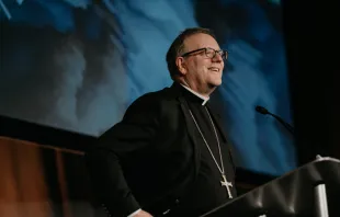 Bishop Robert Barron, founder of Word on Fire, which announced on March 13, 2024, that its institute will partner with the University of St. Thomas, Houston, to launch a master’s program in evangelization and culture this summer. Credit: Word on Fire